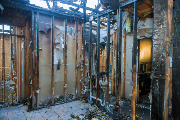Professional Fire Damage Removal technician working in Celina, TX